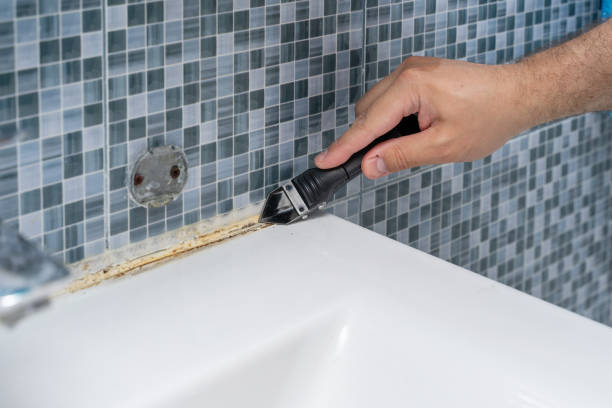 Best Health and Safety Mold Remediation in San Saba, TX